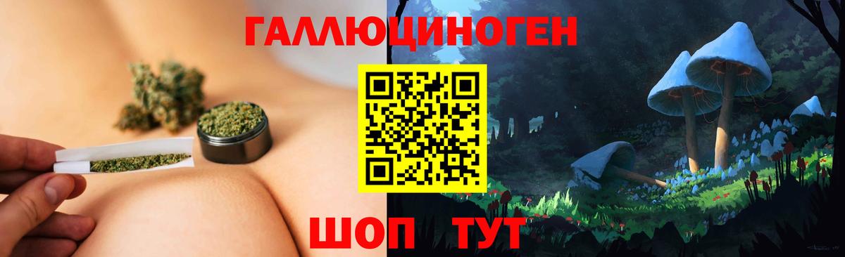 Звенигород  где продают   Вход с VPN  Псилоцибиновые грибы мухоморы  Псилоцибиновые грибы прущие грибы 